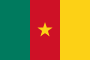 Bandiera del Camerun