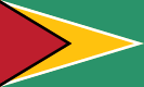 Bandiera della Guyana