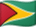 Bandiera della Guyana