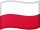 Bandiera della Polonia