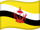 Bandiera del Brunei