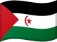 Bandiera della Repubblica Democratica Araba dei Sahrawi