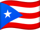 Bandiera di Porto Rico