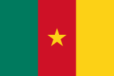 Bandiera del Camerun