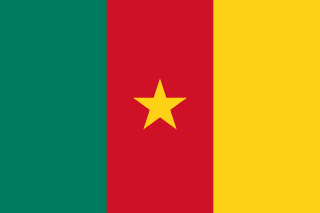 Bandiera del Camerun