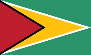 Bandiera della Guyana