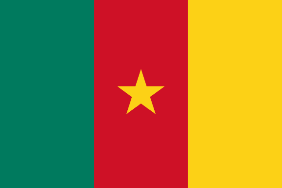 Bandiera del Camerun