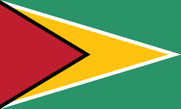 Bandiera della Guyana