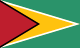 Bandiera della Guyana