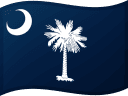 Bandiera della Carolina del Sud